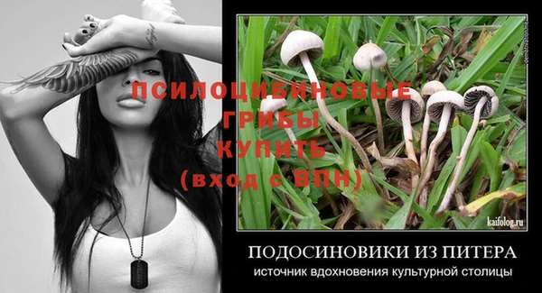 герыч Алзамай