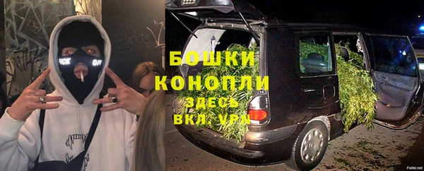 бошки Нея