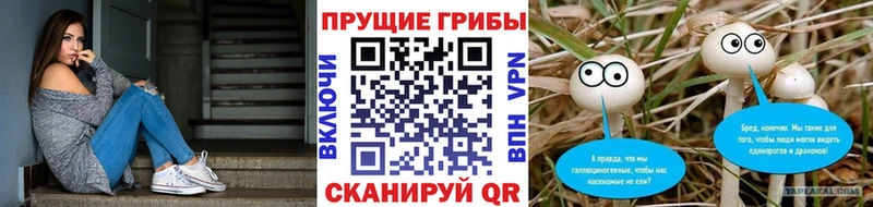 цена наркотик  Западная Двина  ОМГ ОМГ ТОР  Псилоцибиновые грибы прущие грибы 
